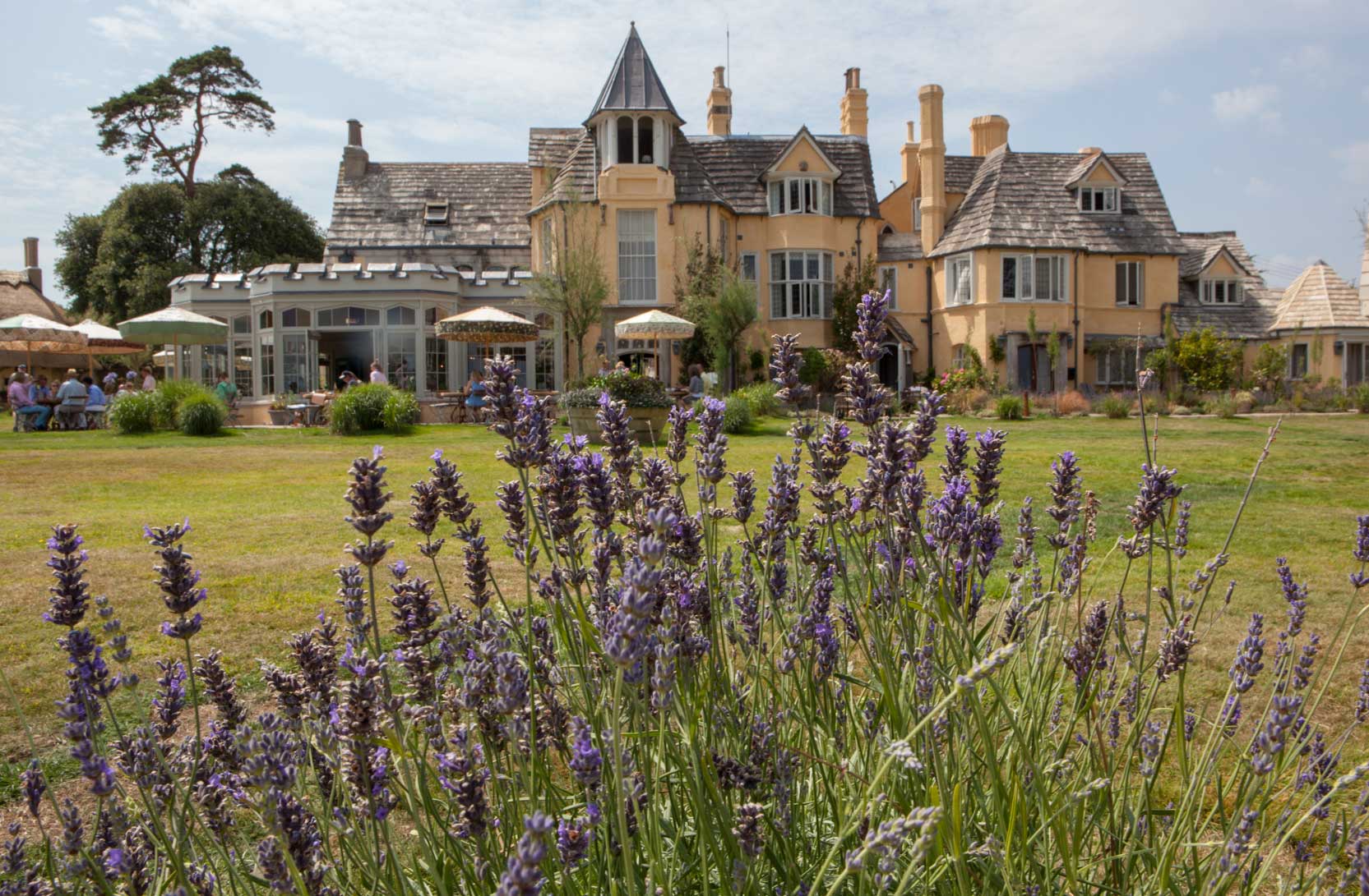 best lunch spots in Dorset, the pig on the beach